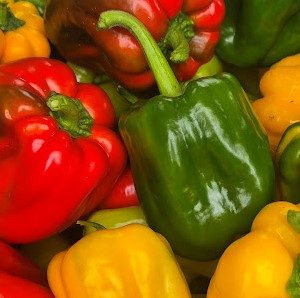 Pimiento Morrón