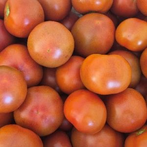 Tomate