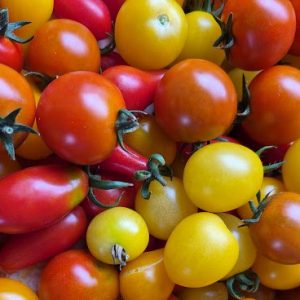 Tomate Cherry